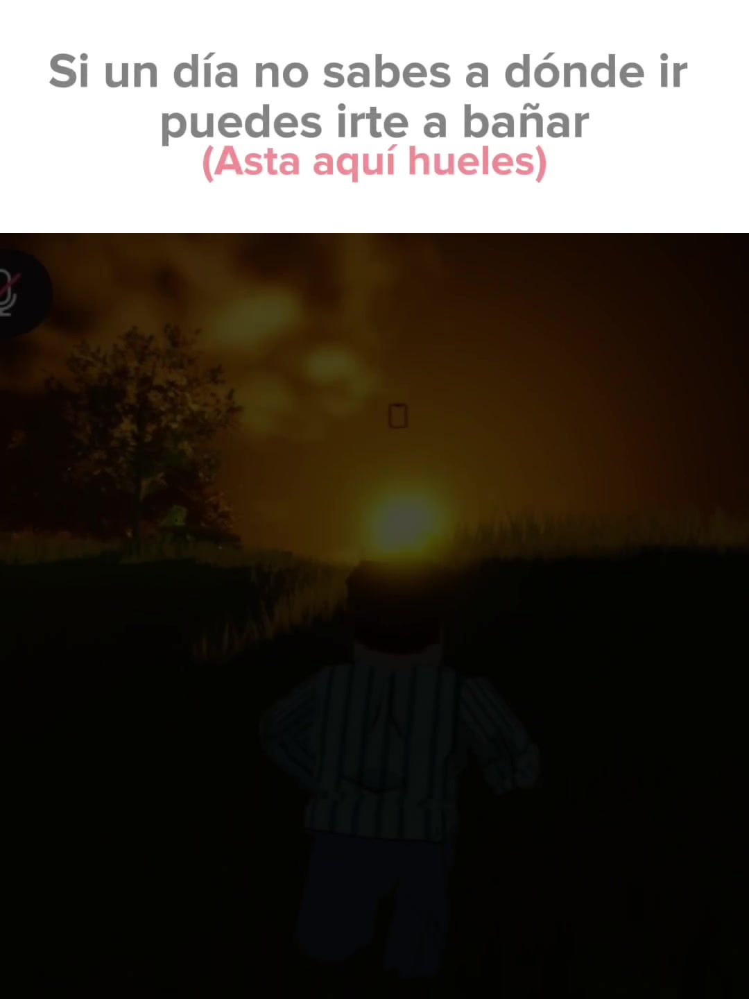 @richgv.777