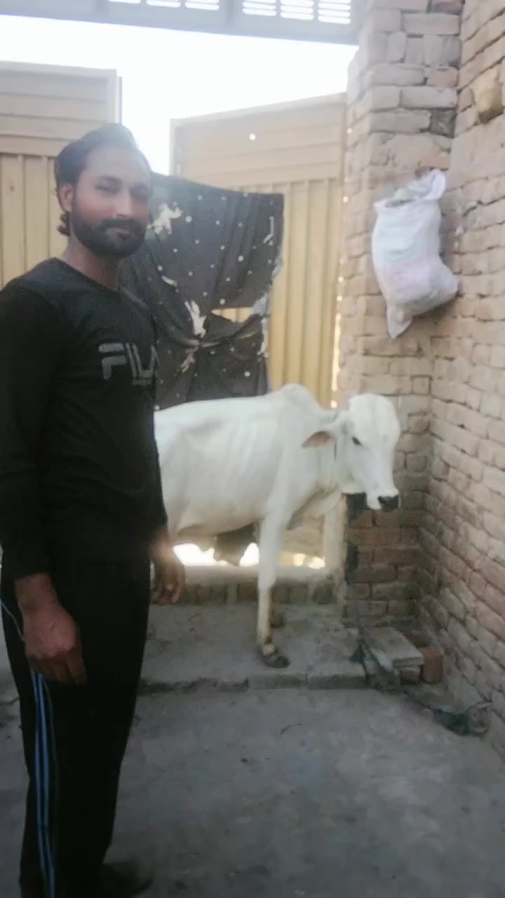 @Afzal khilji04