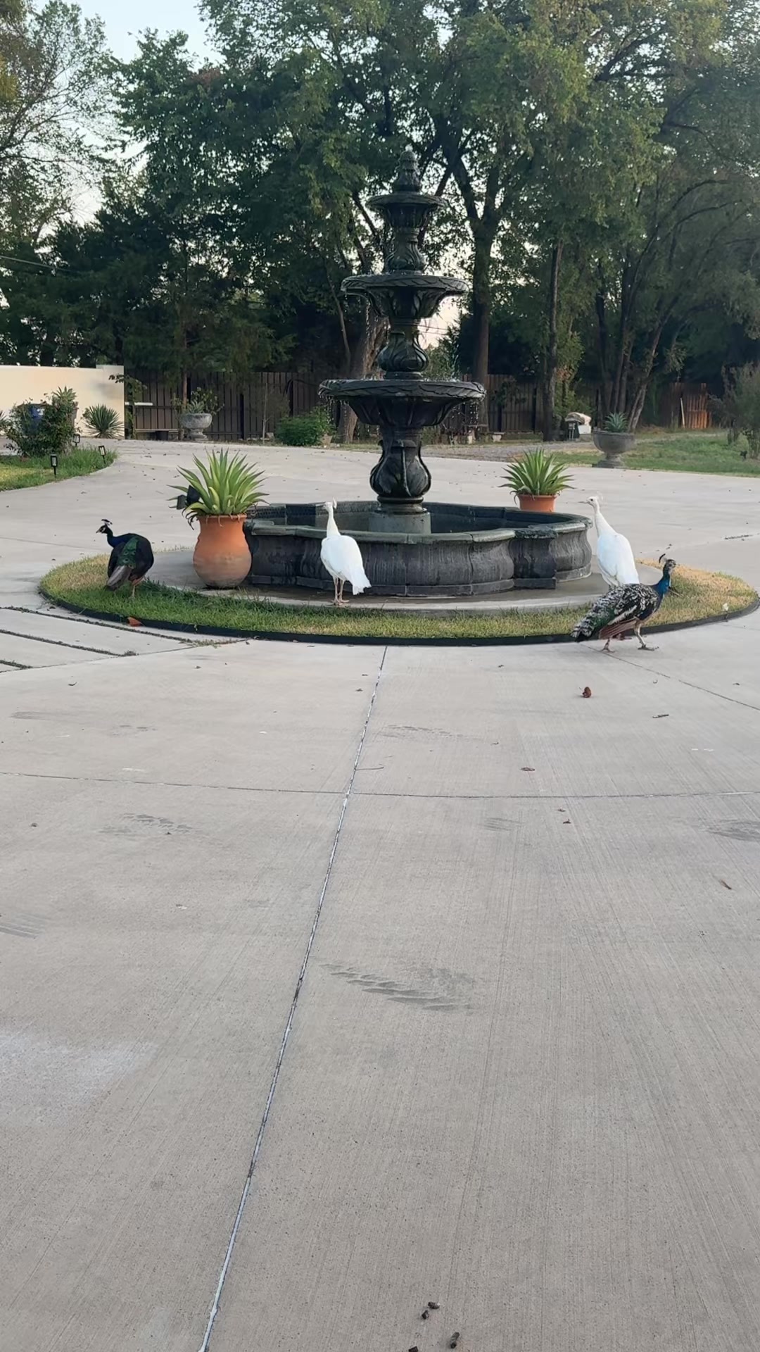 @La Villita