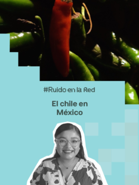 @Ruido en la Red