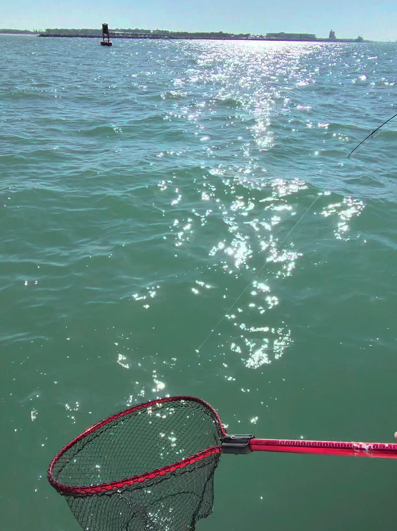 @Trigger Rich Fishing Charters