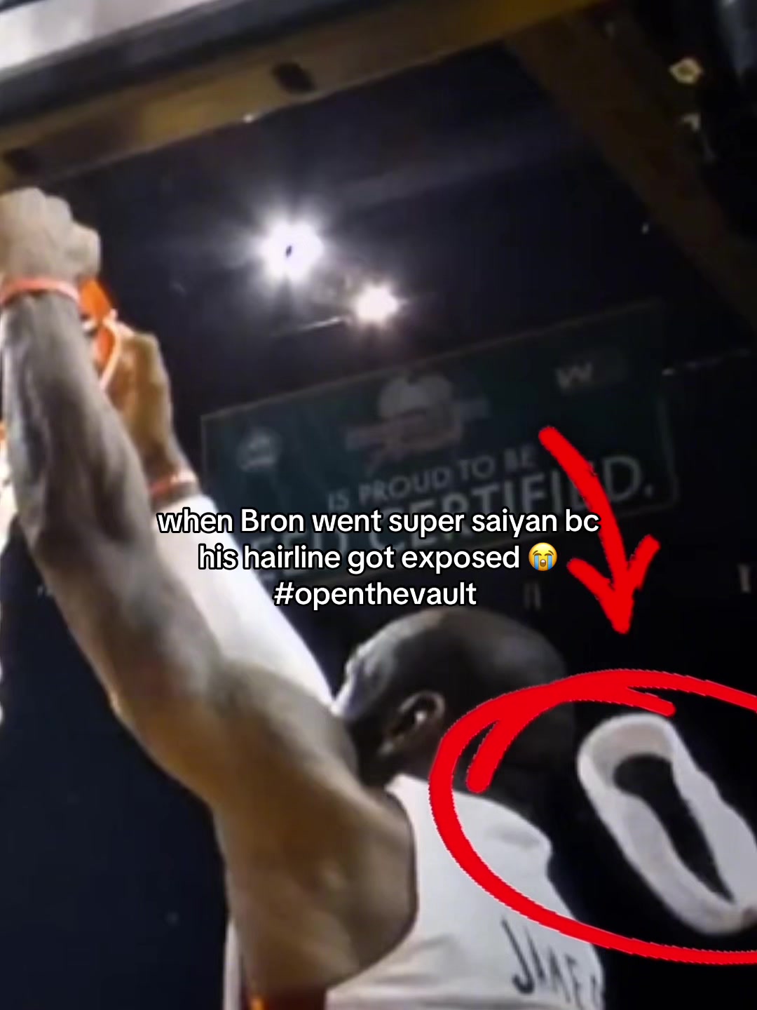 @underdogsprts