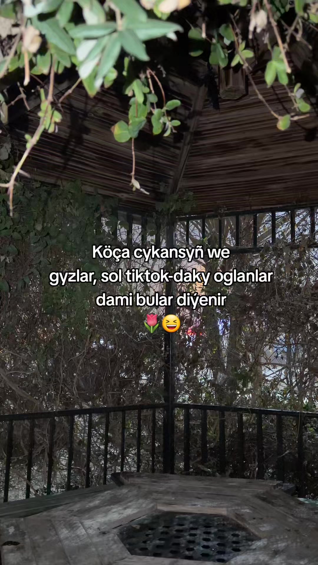 @𝒮𝓎𝓁𝒶𝓅_🥷🏻💚