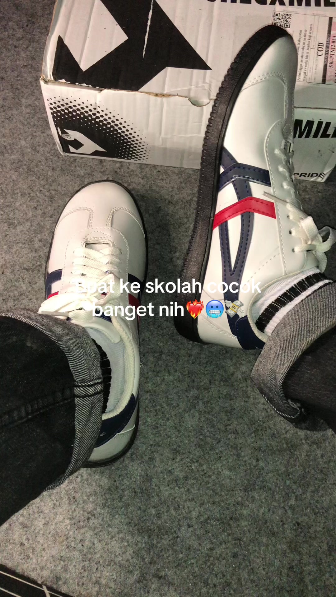 @Zylo|.Co 🛍️〽️