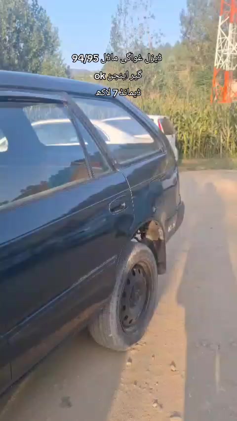 @ncpcarlover1