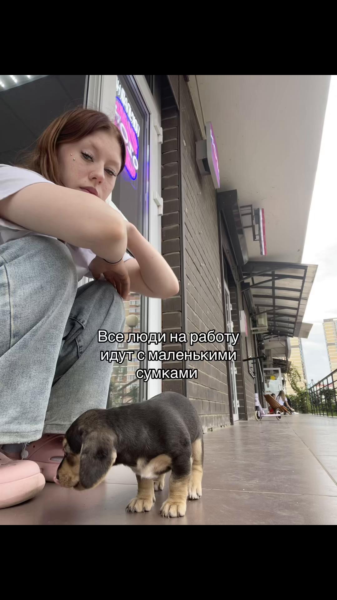 @Дариша༒