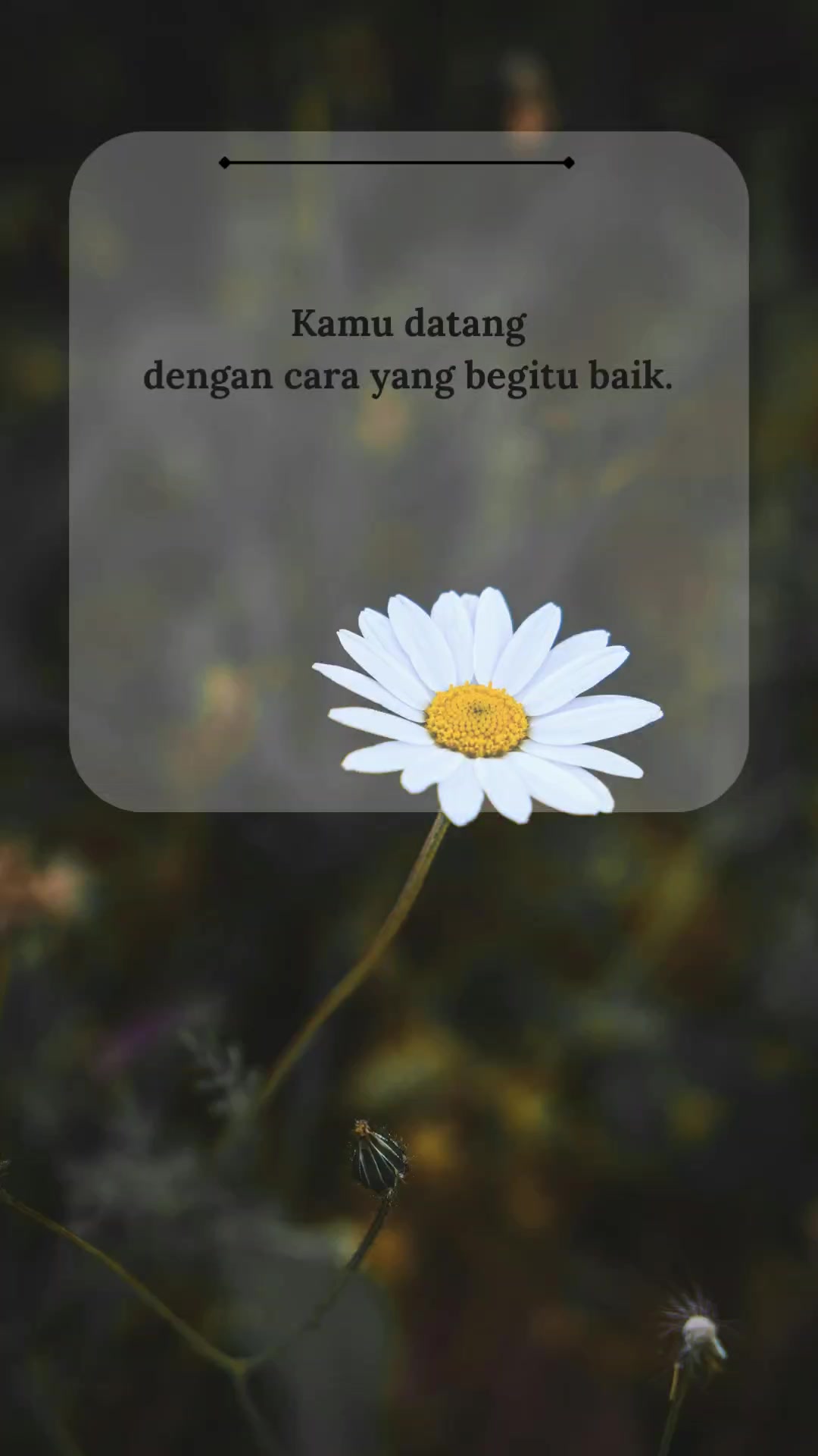 @SECARIK HENING