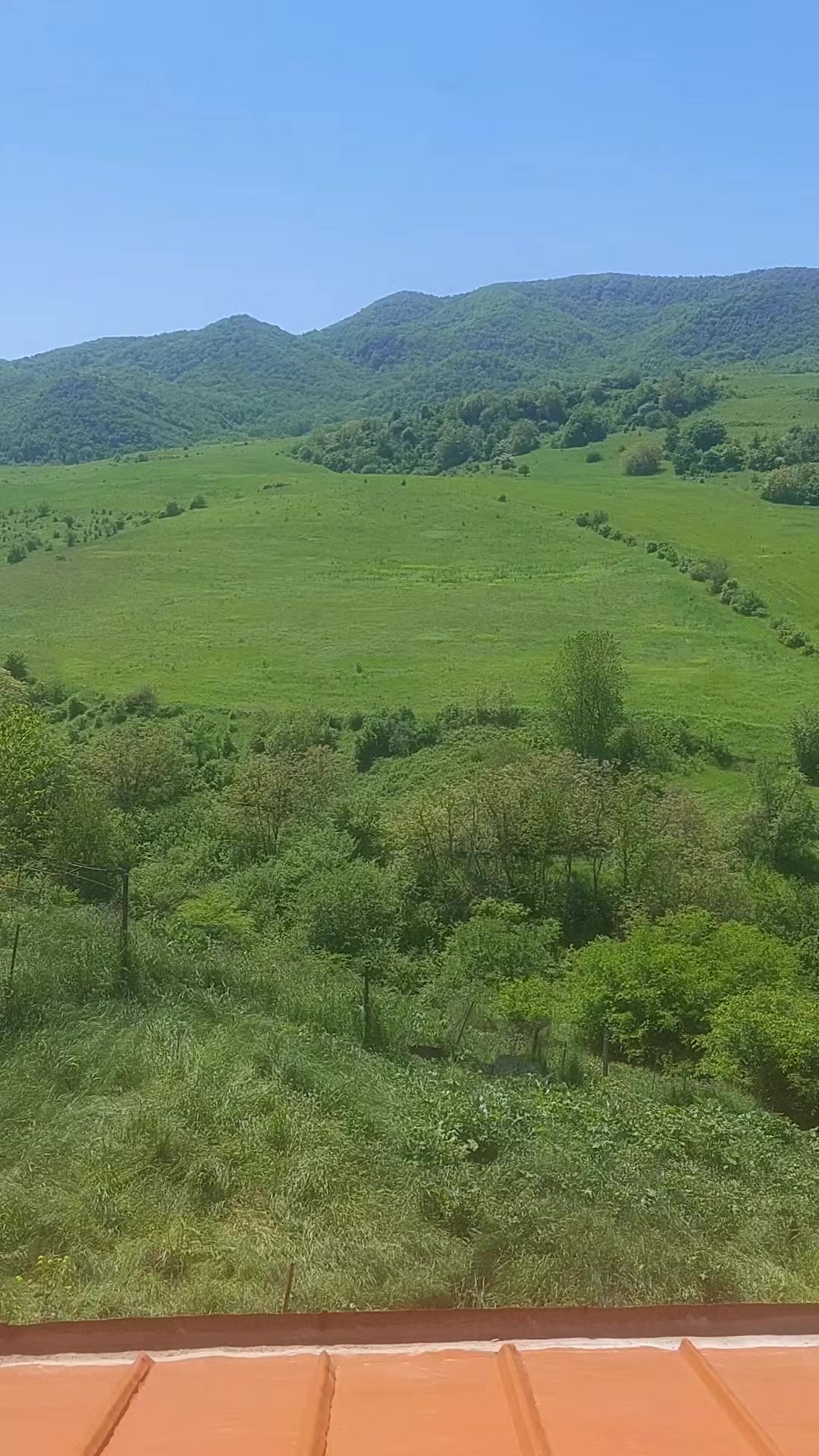 @QAZİ sahib_vəliyev.2016.Aprel