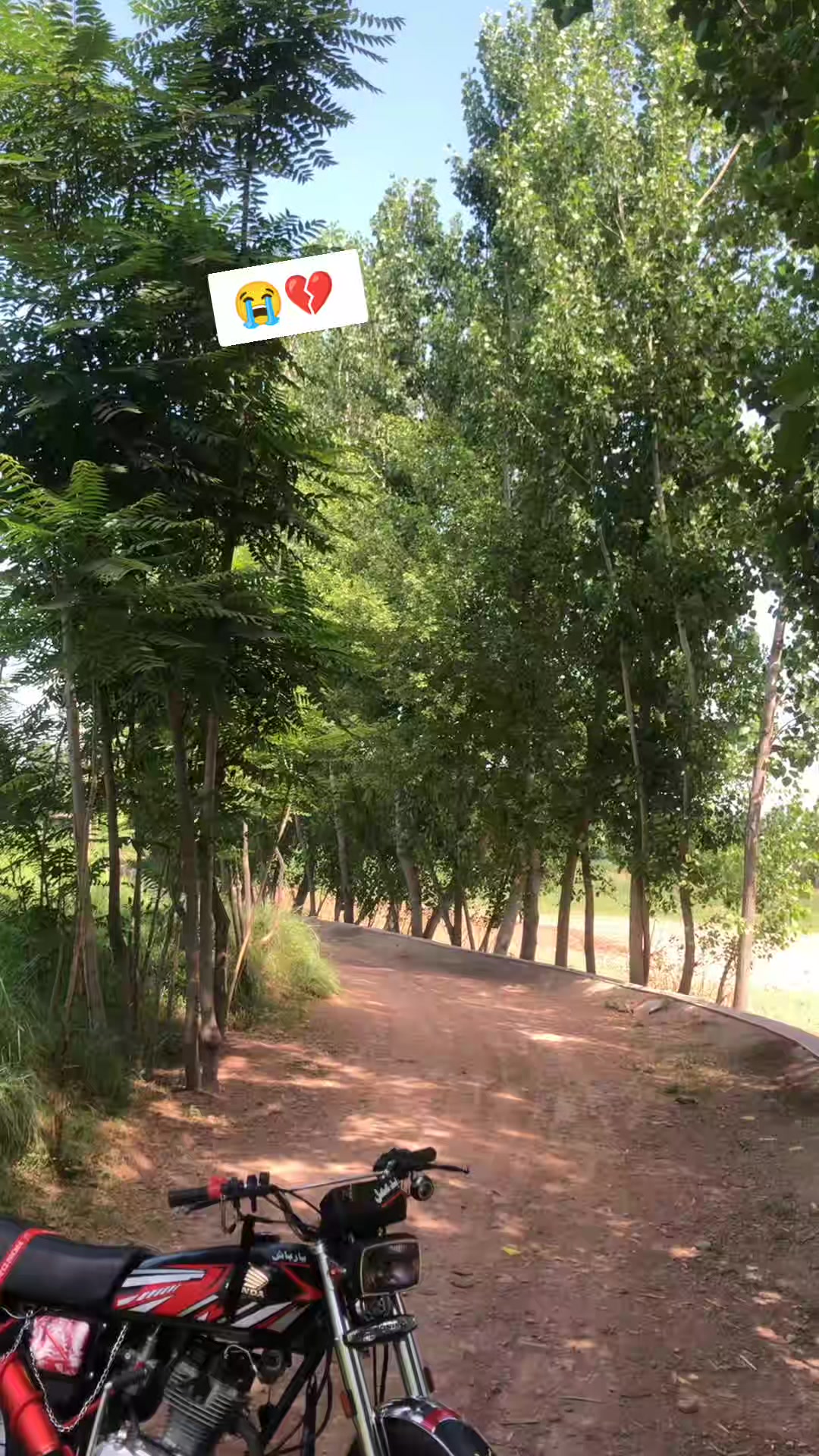 @یا ر با ش      🦅🔥