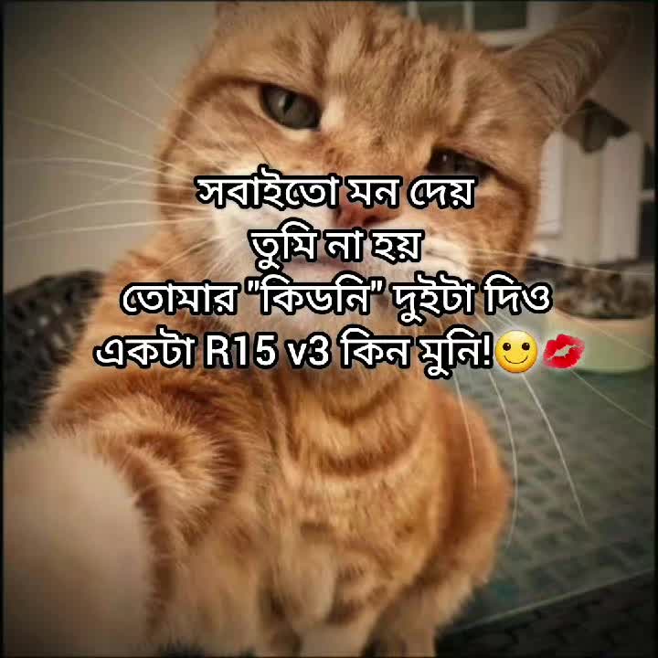 @Mᴀʀᴜғ Bɪʟʟᴀʜ 🌱
