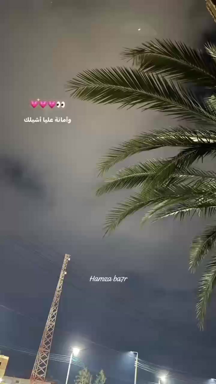 @haidy elsayed