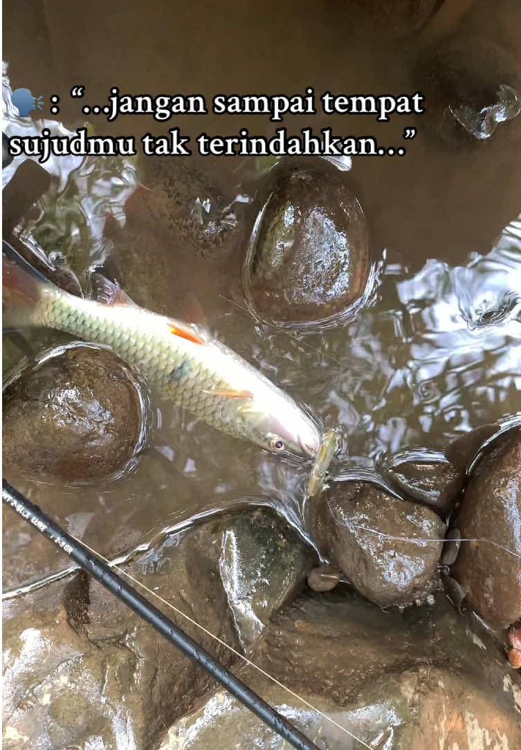 @Bang Fajri 🎣