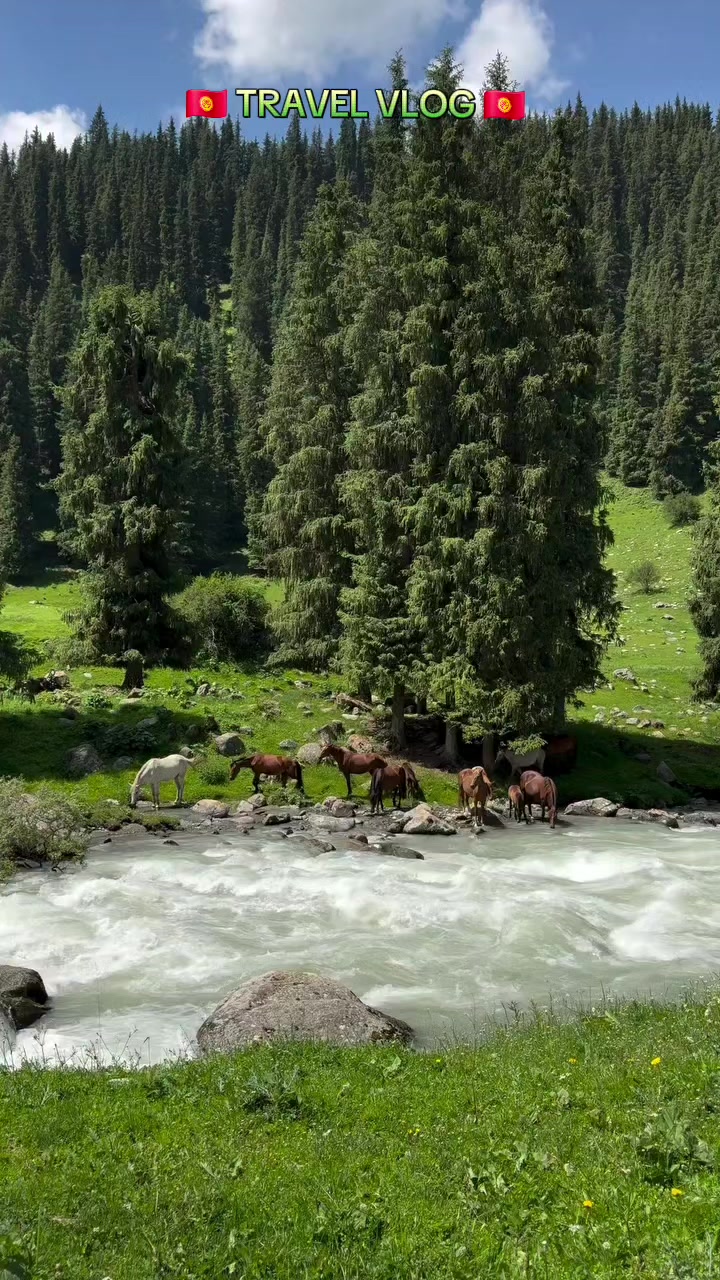 @almazmyrza_09🇰🇬
