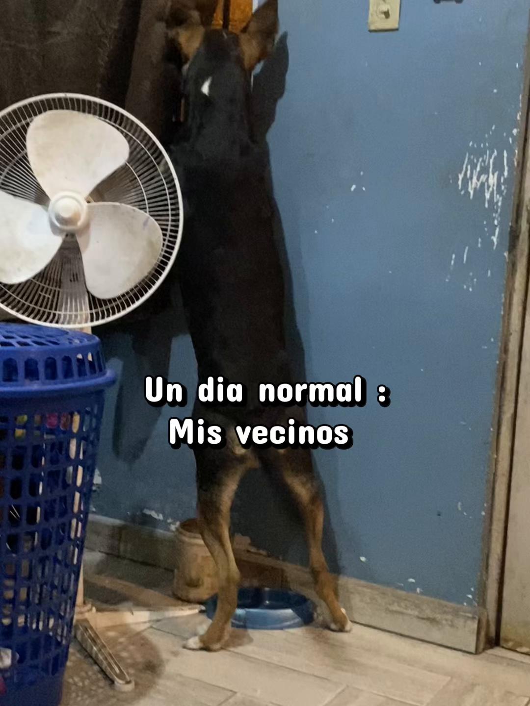 @💋 𝓛𝓪 𝓫𝓲𝓶𝓫𝓸𝓷 💋