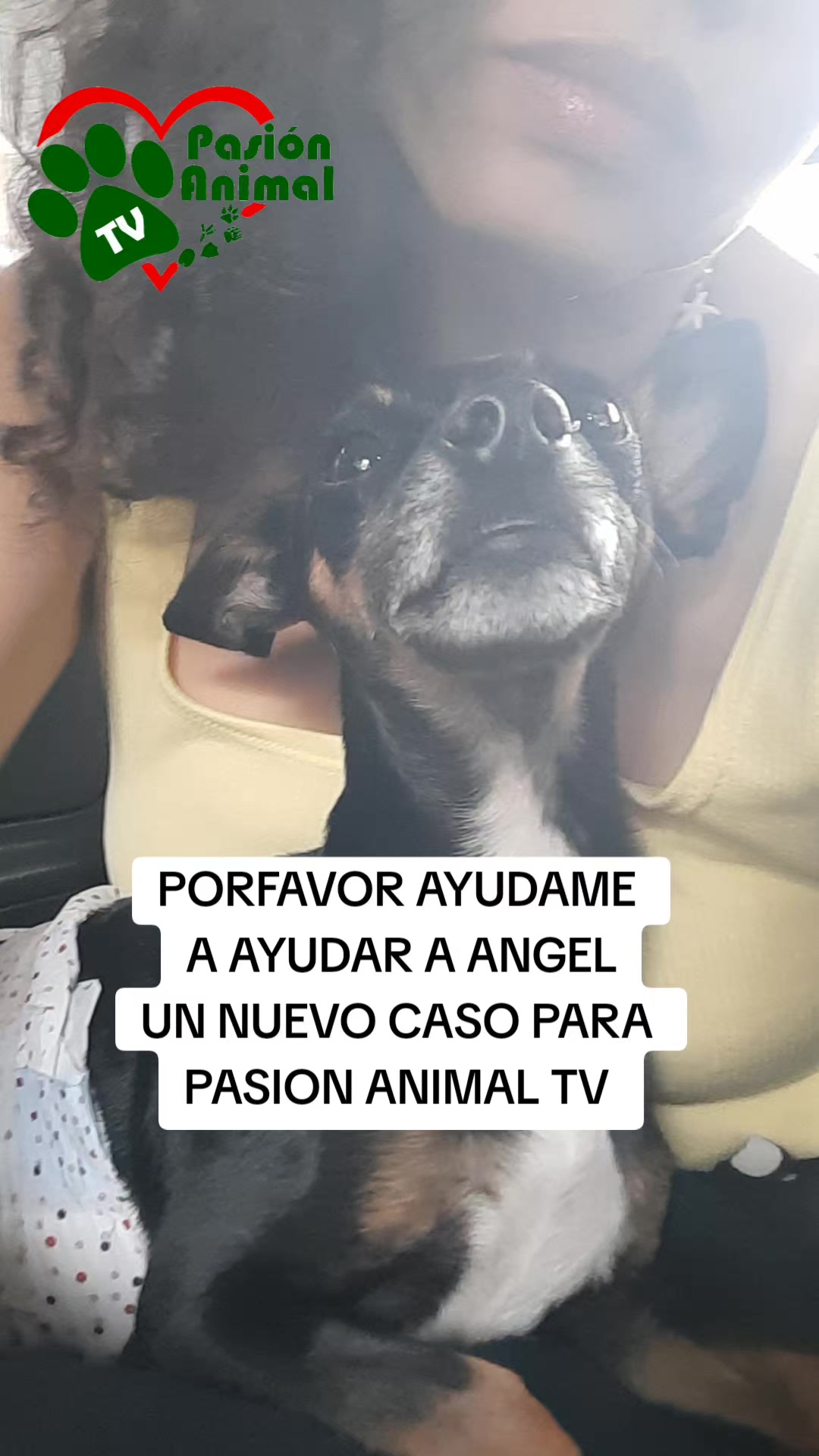 @Pasión Animal Tv