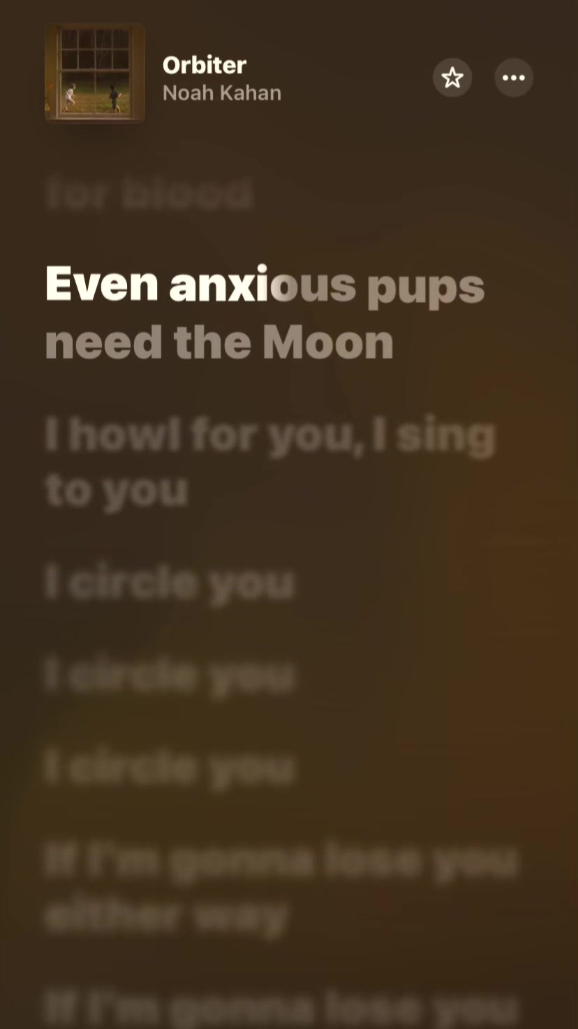 @🎶Lyrics🎵