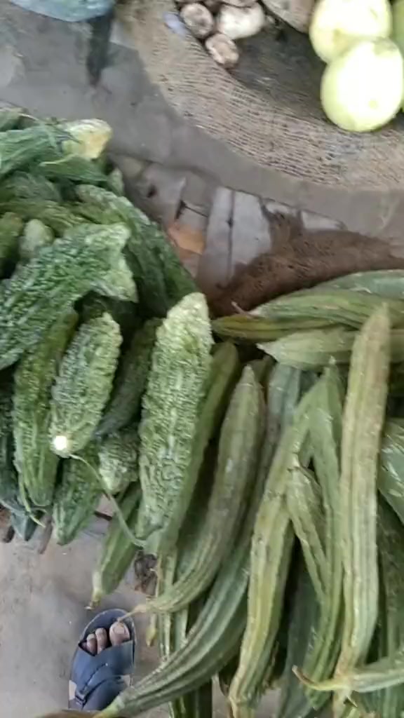 @Malik Bhai8423