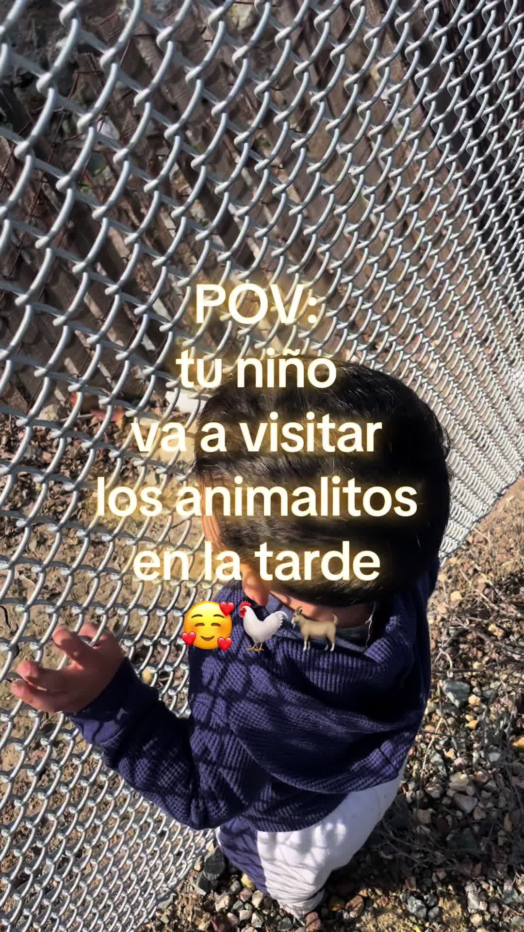 @Nayeli Herrera