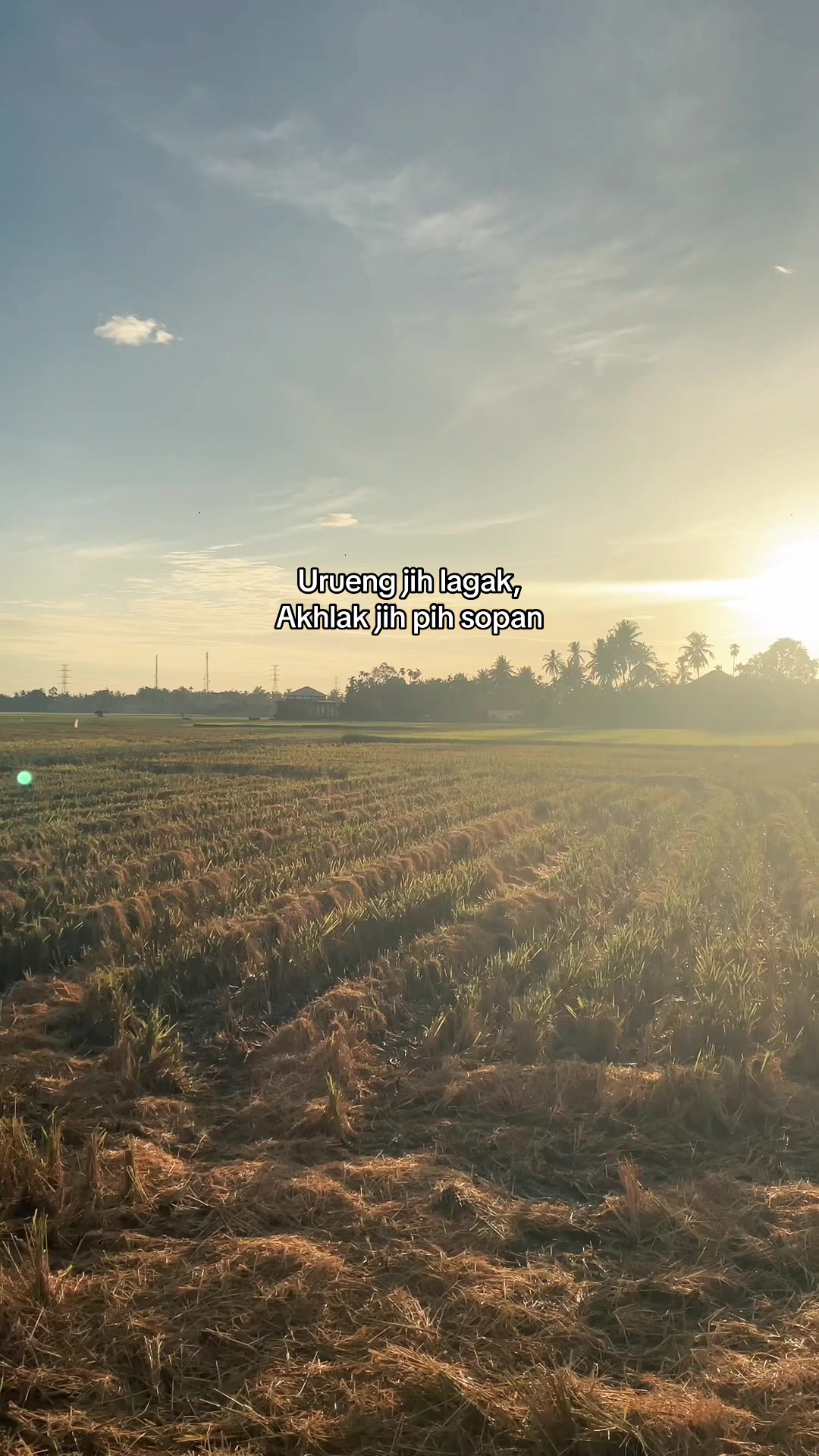 @Adoe aceh