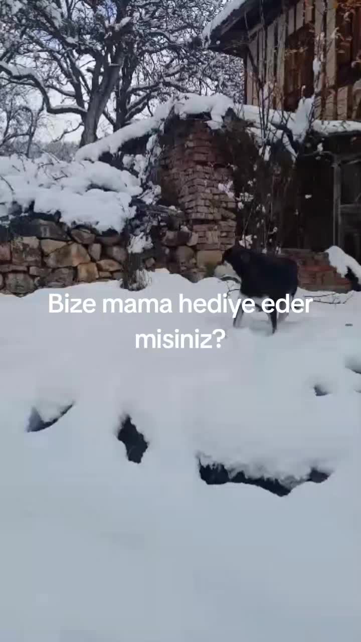 @Hayalperest_perii