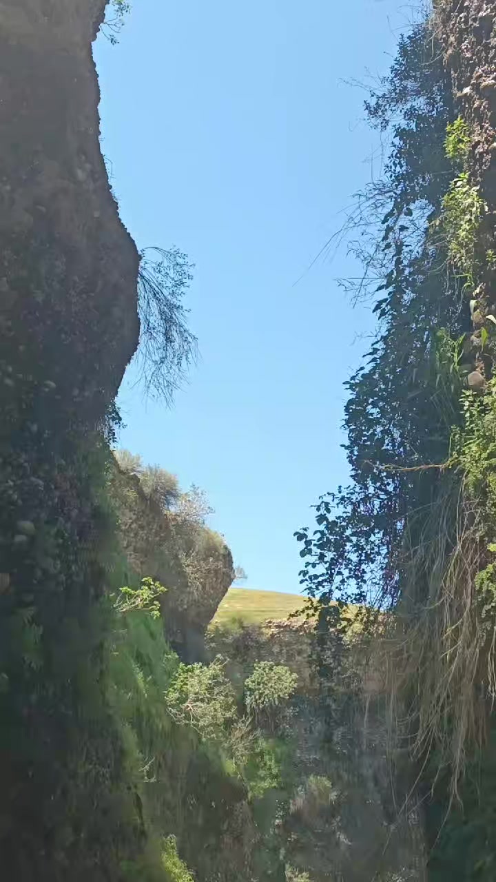 @عادل اغا جمال ده لۆ