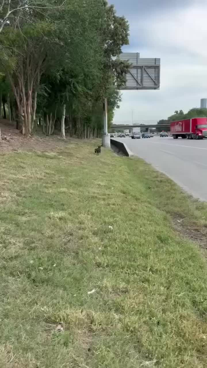 @AJC Rescue and Transport