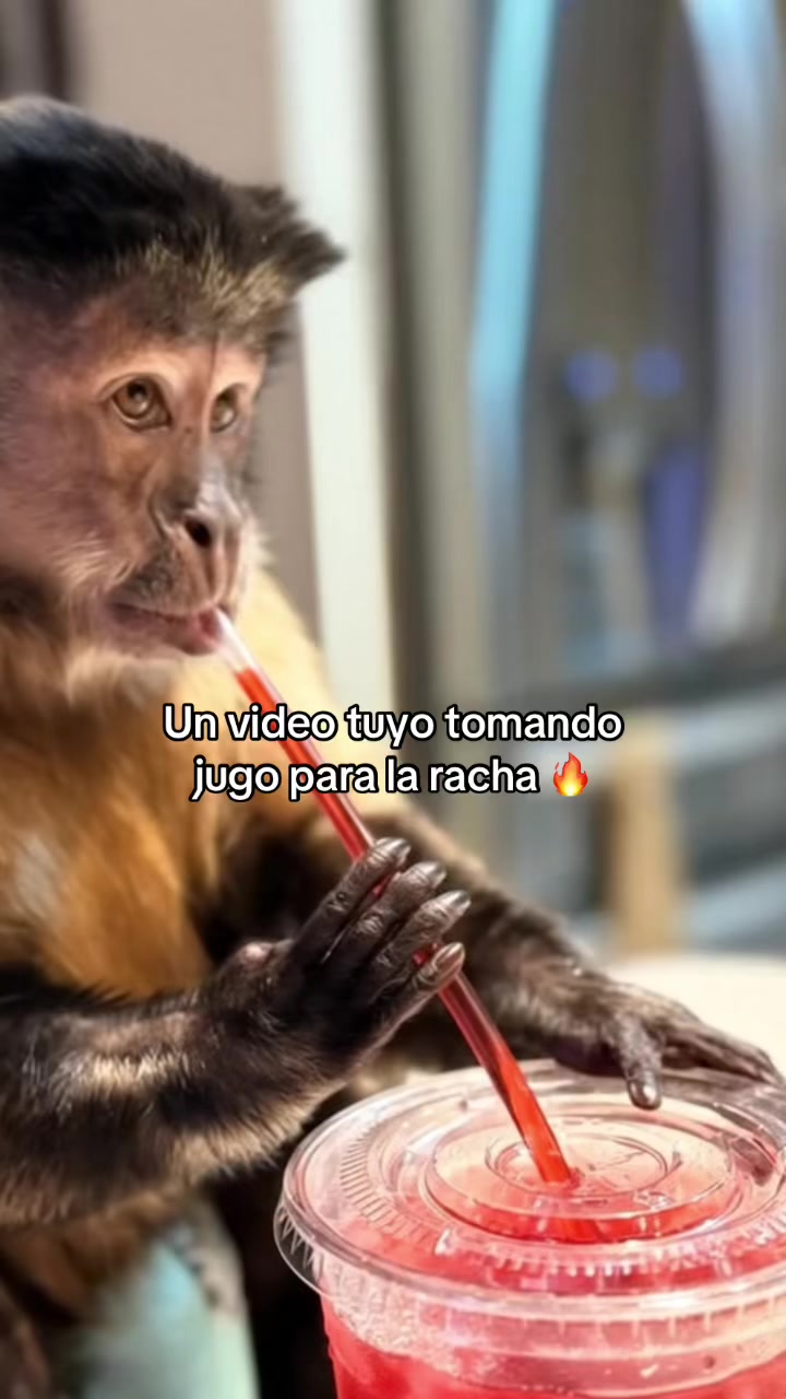 @RabPesito 🔥
