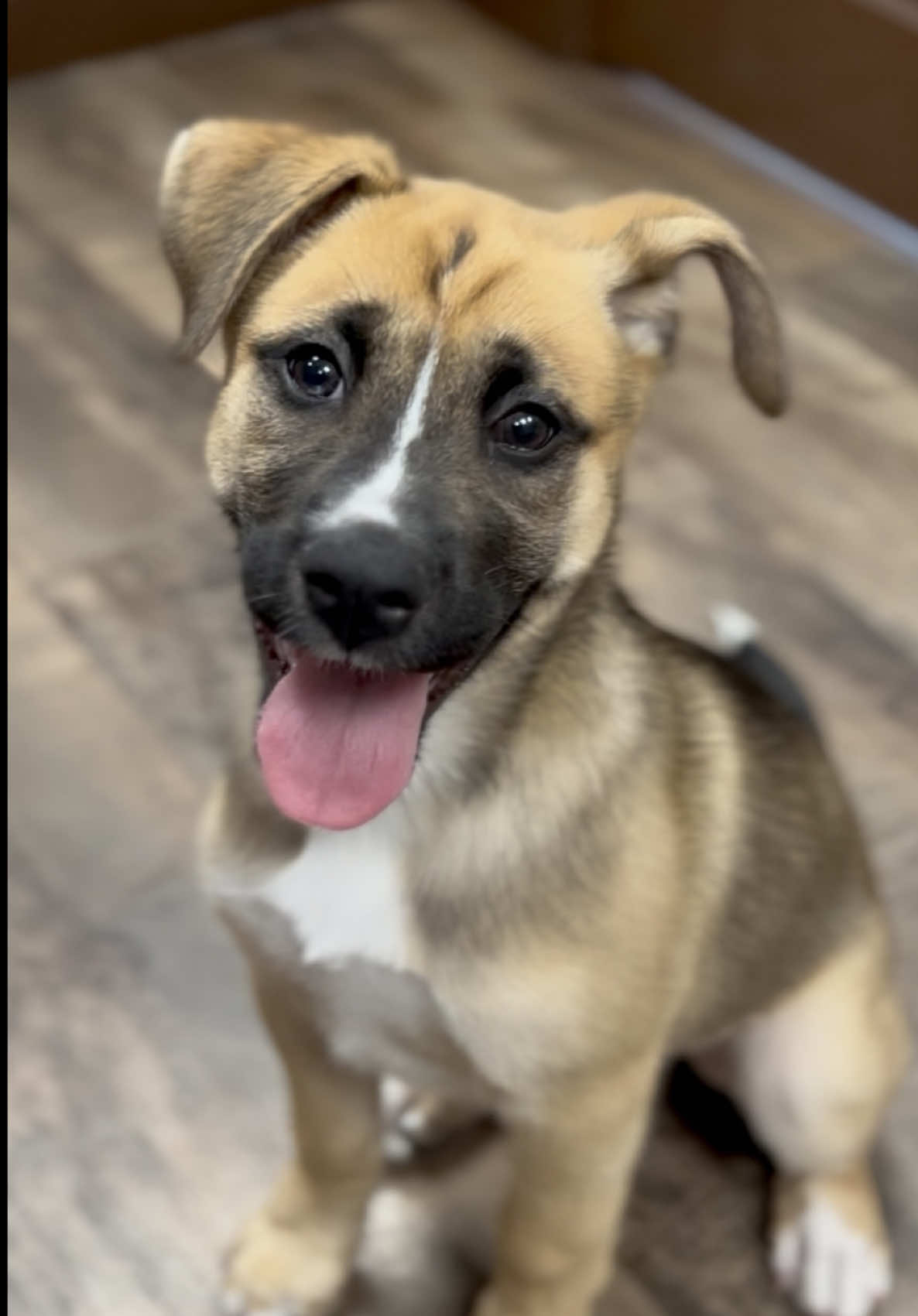 @Petland Iowa City