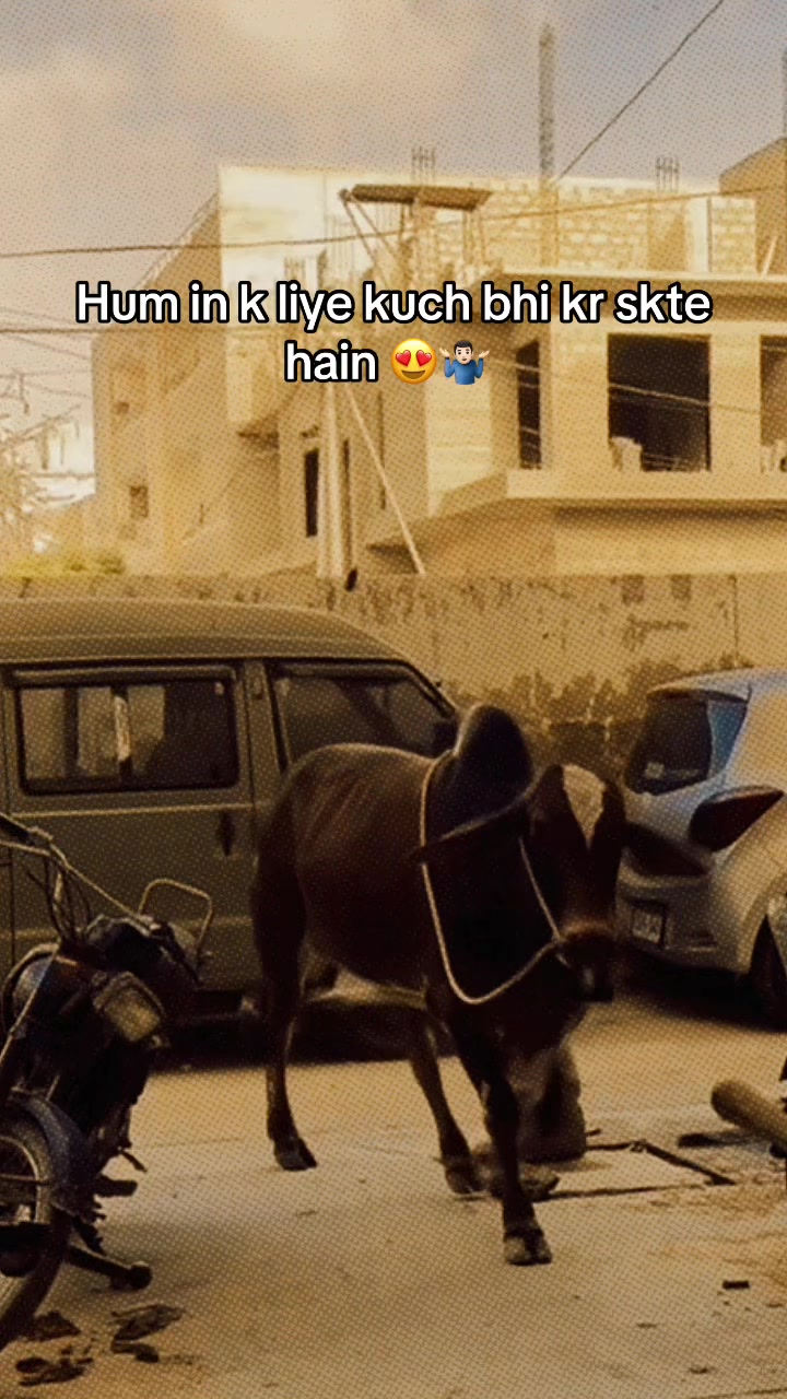 @Mr. Hassaن❤️😇