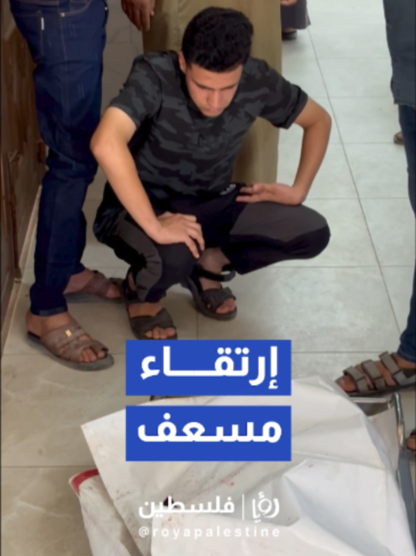 @Royapalestine رؤيا فلسطين