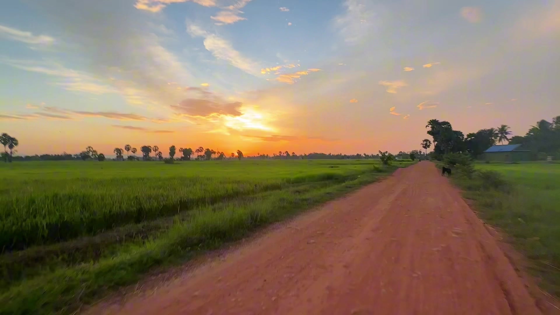 @សឿន វណ្ណា - सोएन् वण्णा 🌾💚🌅