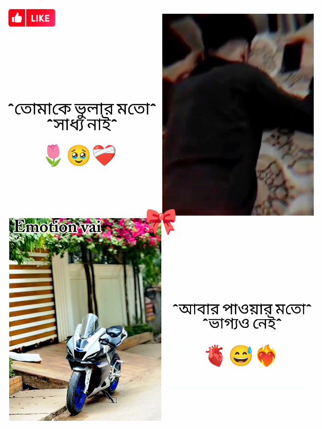 @✿BIKE LOVER✿