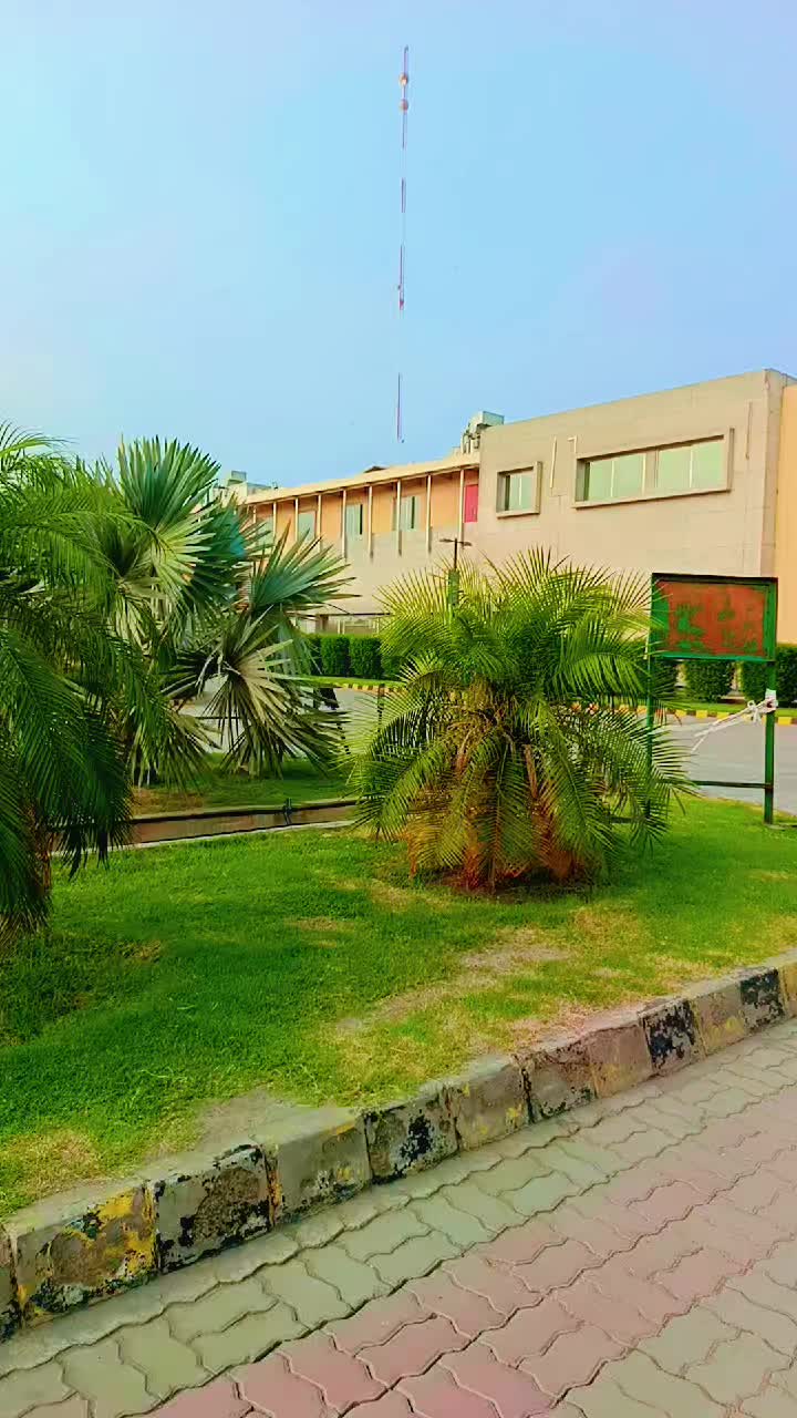 @alichagata