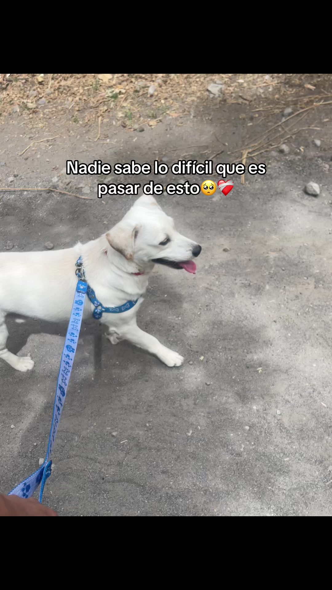 @𝔐𝔢𝔯𝔩𝔶𝔫