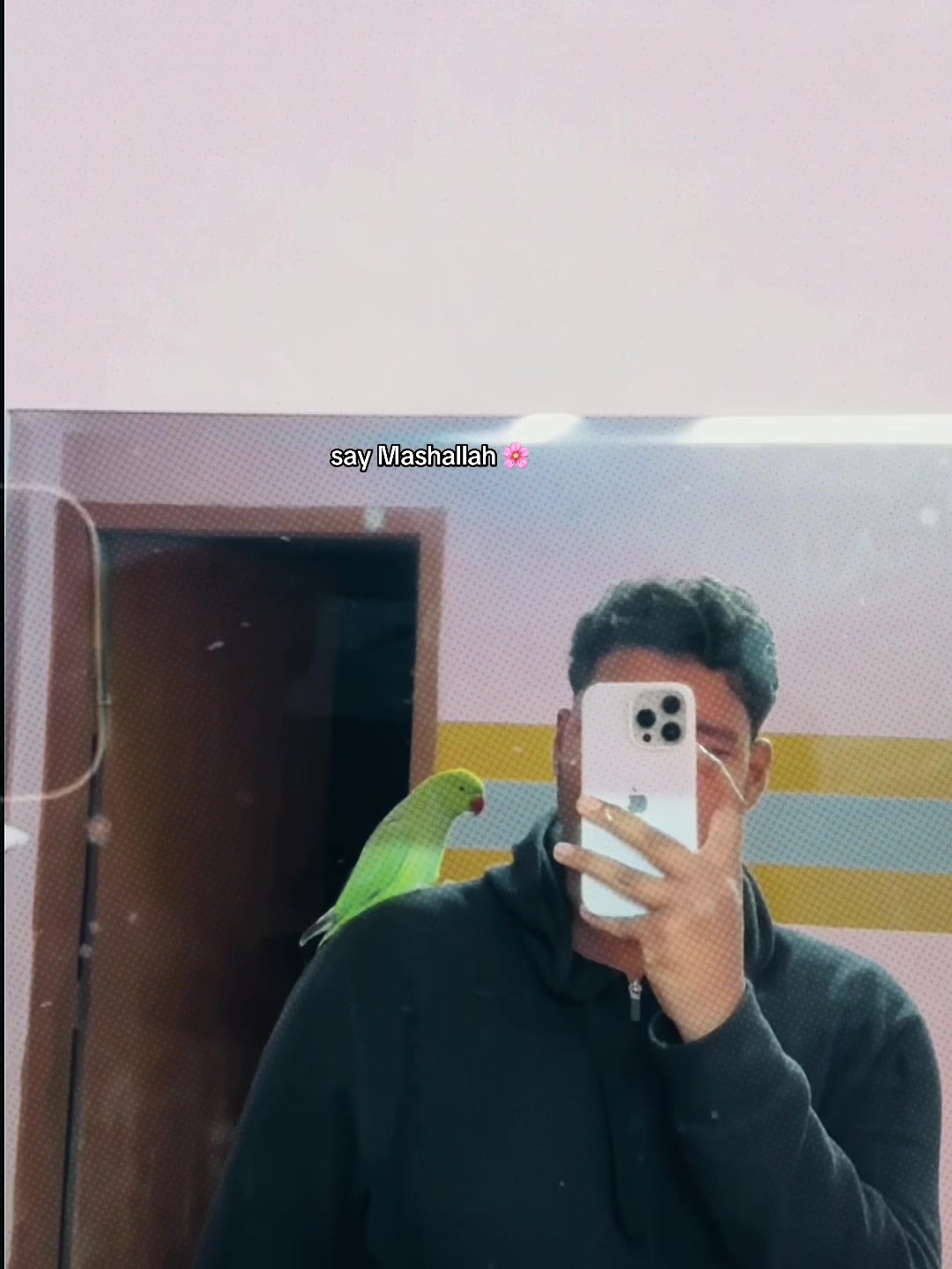 @𝑩𝒊𝒓𝒅𝒔 𝑯𝒐𝒃𝒃𝒚