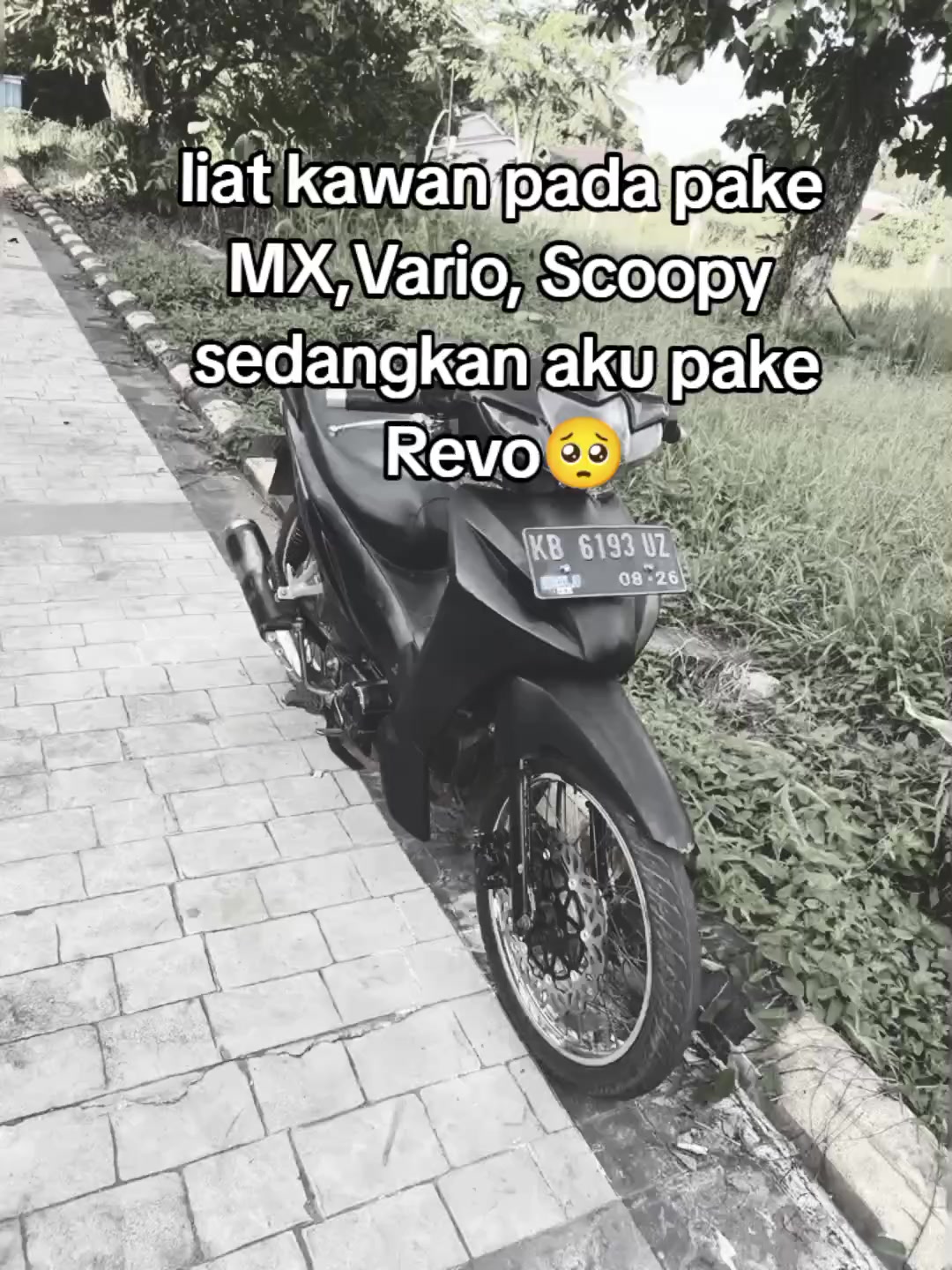 @revo absolute🚀