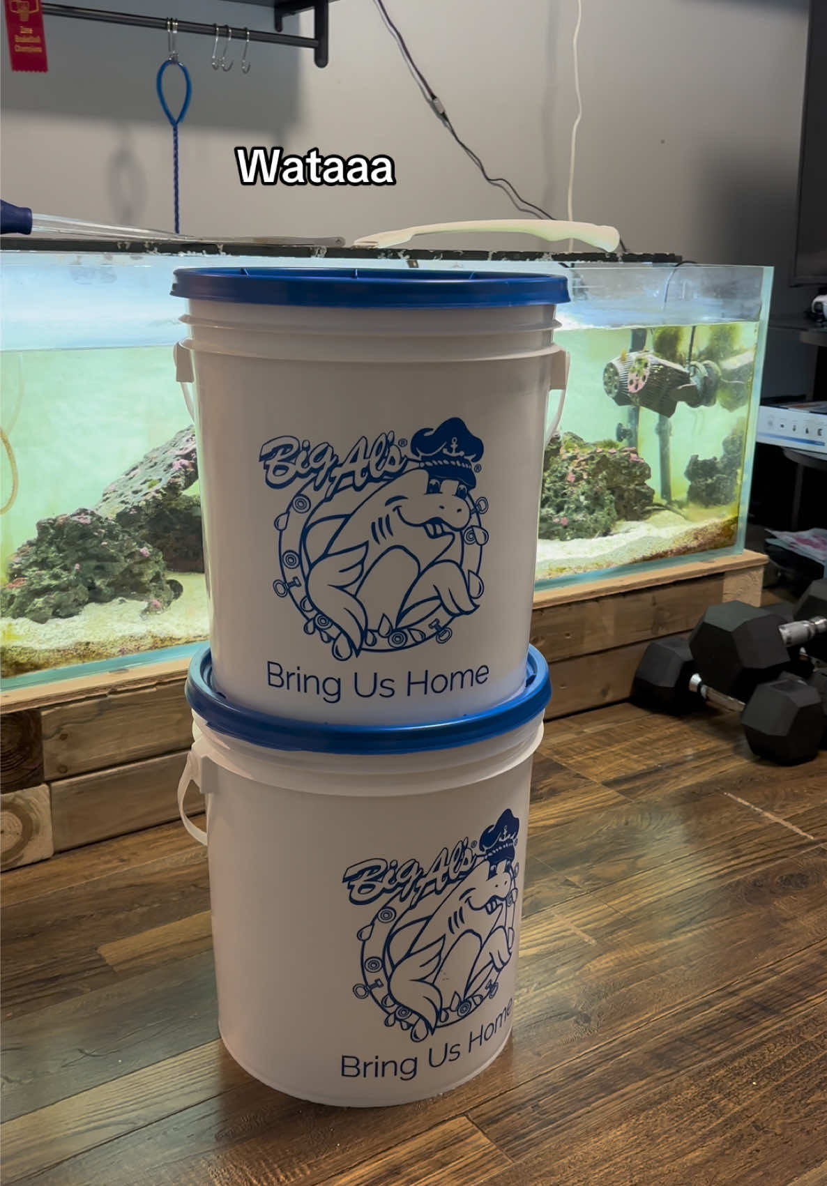 @ReefSync