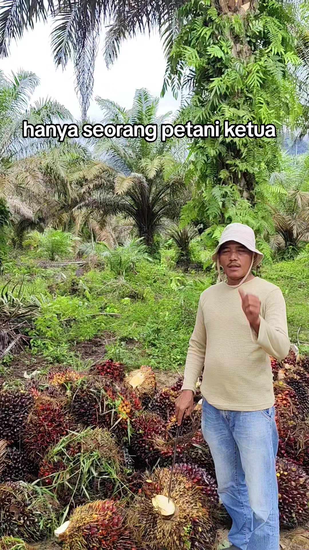 @petani kecil ujung tapsel