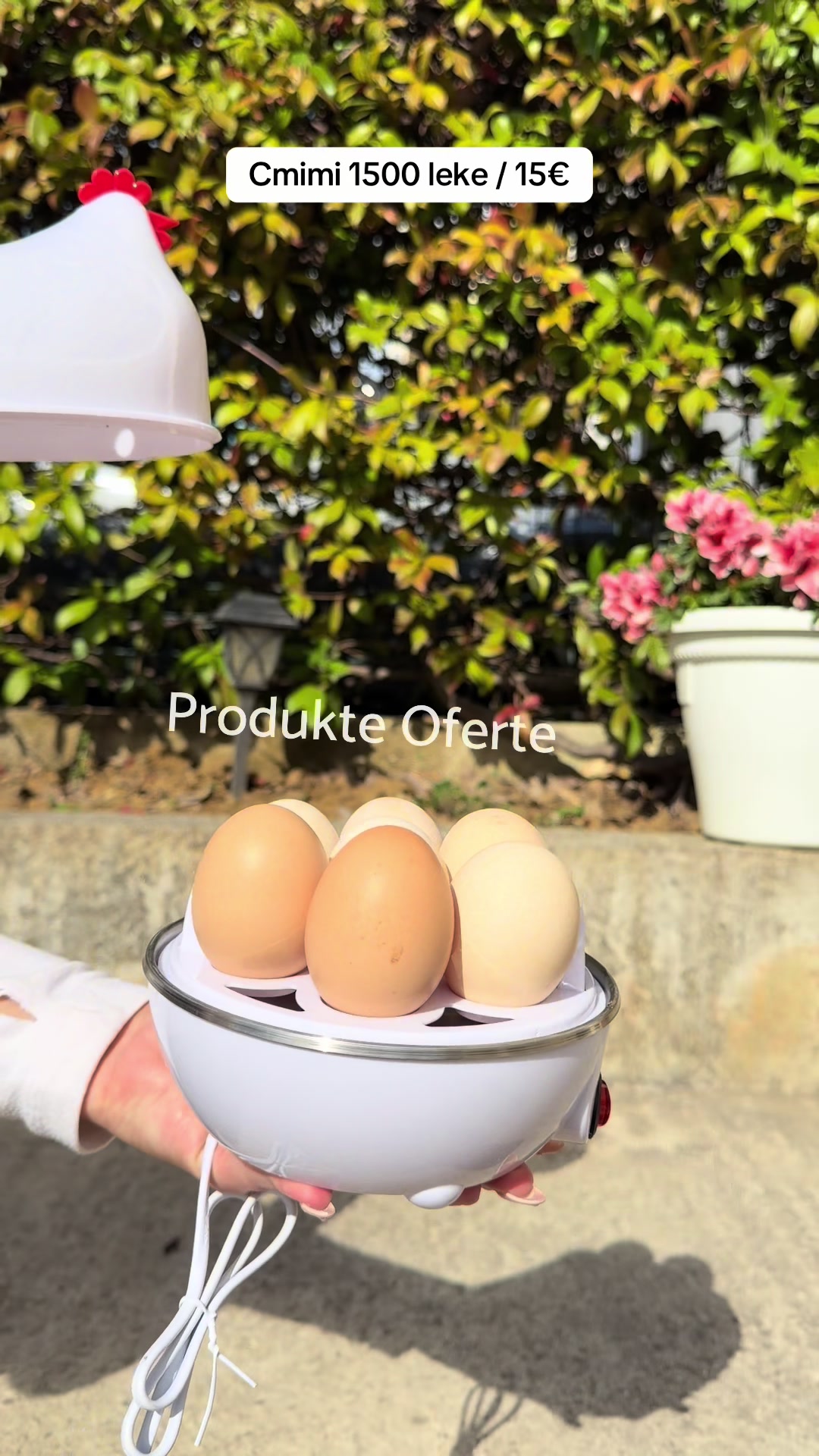 @Produkte Oferte