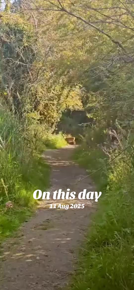 @flora_fauna_fur_feathers