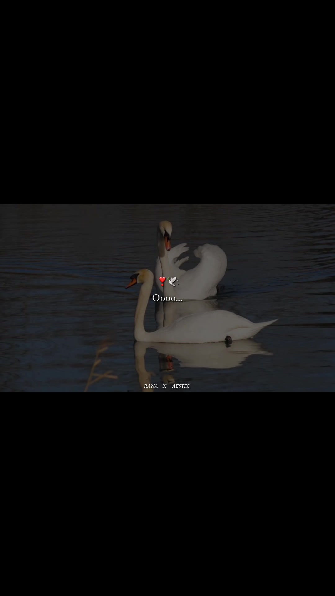 @𝙧𝙖𝙣𝙖_𝙖𝙚𝙨𝙩𝙞𝙭❕