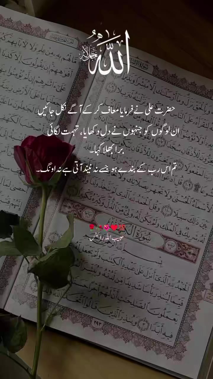 @حبیب اللہ ✍️