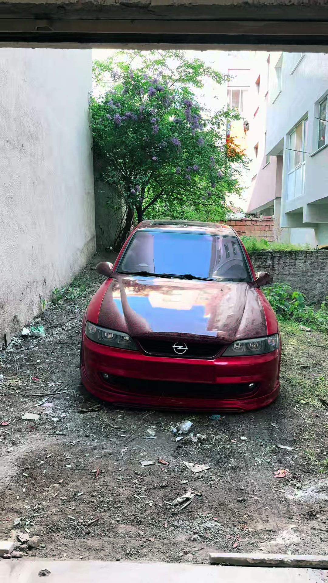 @𝓐𝓵𝓹𝓮𝓻 çı𝓽𝓪𝓴