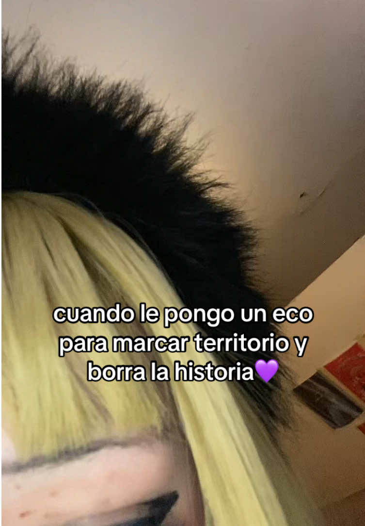 @⁺‧₊˚ ཐི⋆♱𝓀𝓇𝓊𝓏𝒾𝒾♱⋆ཋྀ ˚₊‧⁺