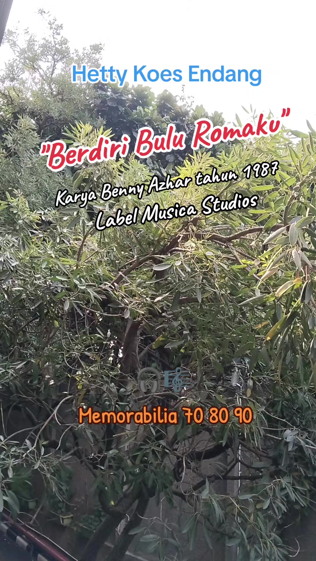 @Bud Hass