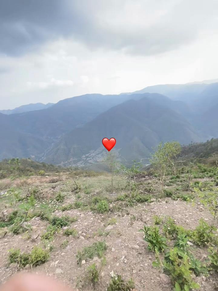 @Sυzαη..!