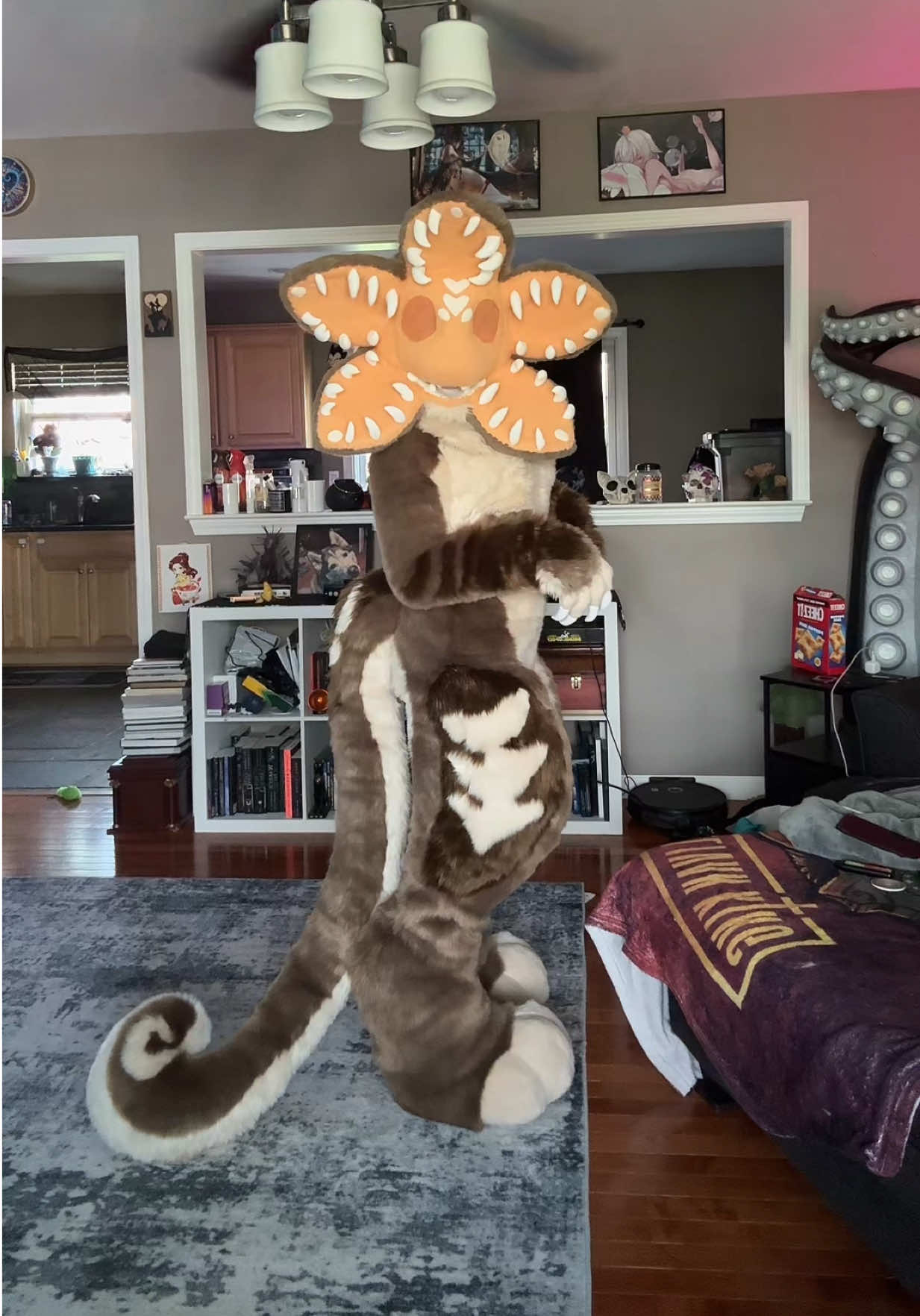@Holofox