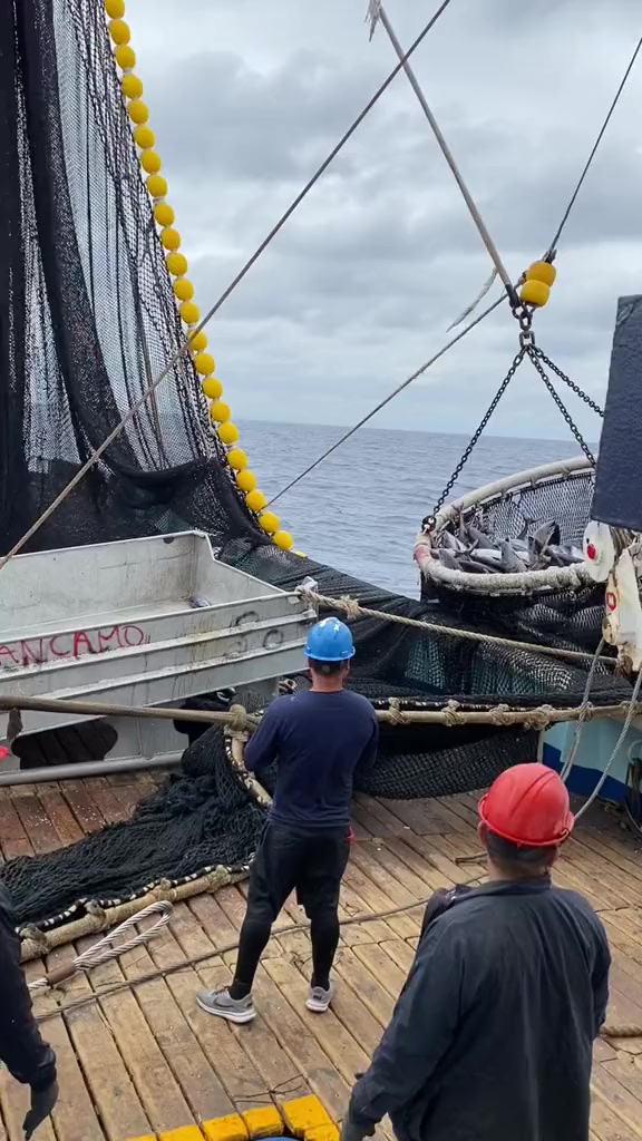 @🚢hàmìdø⚓⚡Ræysë🐬🏴☠️