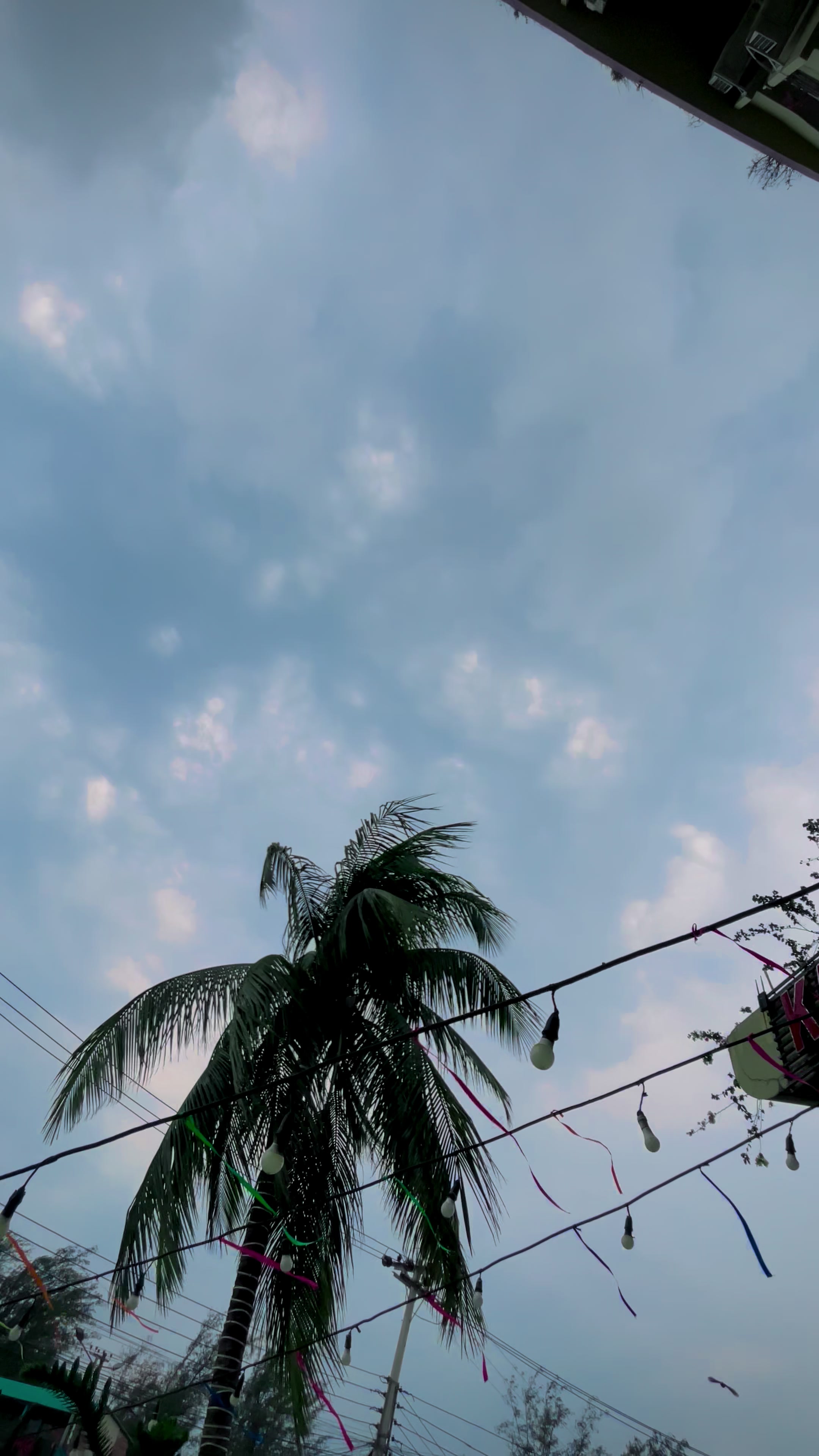 @🕸️(عارف) 𝘼𝙧𝙞𝙛 𝙐𝙡𝙡𝙖𝙝