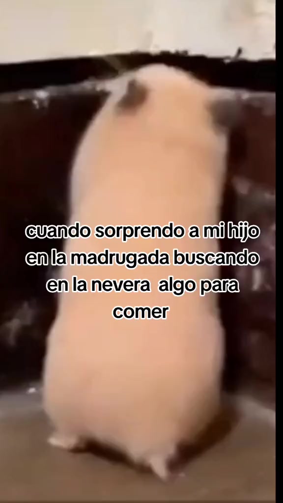 @Yois ๐ง